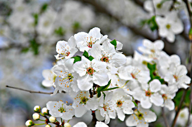 Similar image 2548848