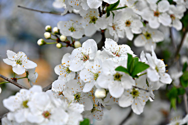 Similar image 2548849