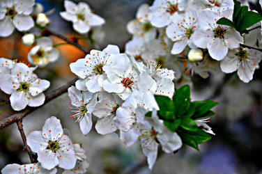 Similar image 2548850