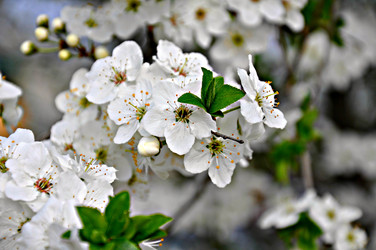 Similar image 2548851