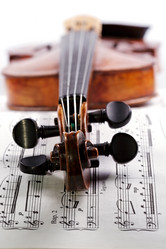 Similar image 2549328