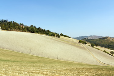 Similar image 2549342