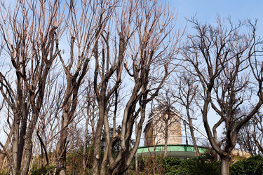 Similar image 2549644