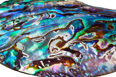 Similar image 2550243