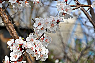 Similar image 2551173