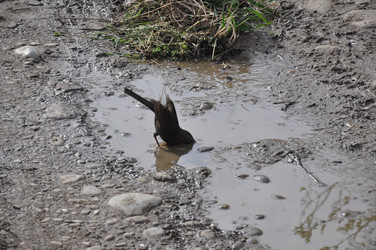 Similar image 2551174