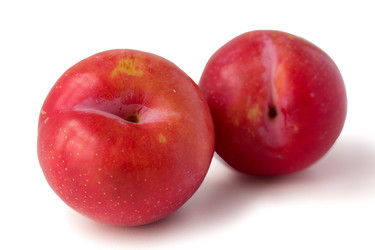 Similar image 2551180