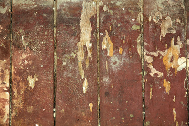 Similar image 2551360