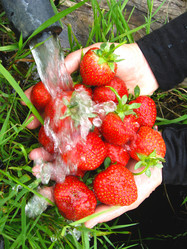 Similar image 2551422