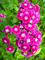 Similar image 2551423