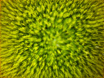 Similar image 2551431