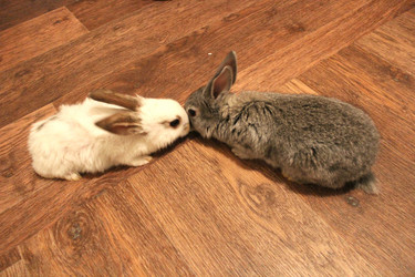 Similar image 2551498