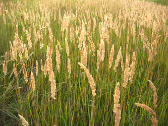 Similar image 2551563