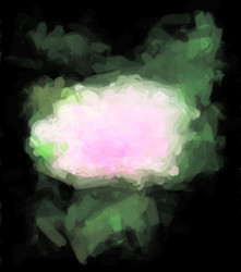 Similar image 2551703