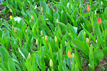 Similar image 2551784