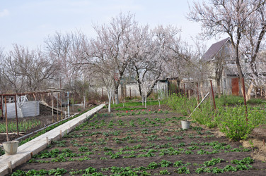 Similar image 2551787