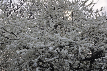 Similar image 2551788