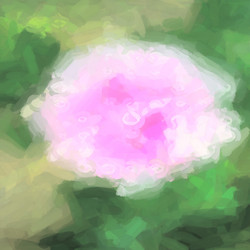 Similar image 2551964