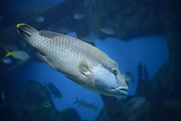 Similar image 2560333