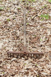 Similar image 2560760