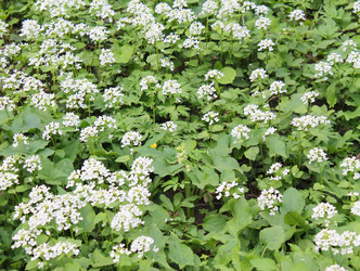 Similar image 2560763