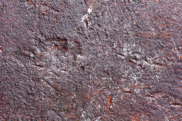 Similar image 2561186