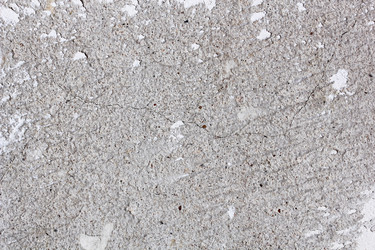 Similar image 2561188