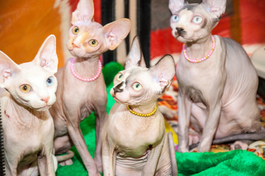 Similar image 2561256