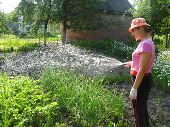 Similar image 2561291