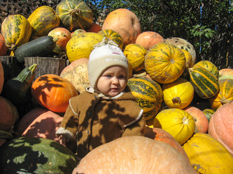 Similar image 2561300