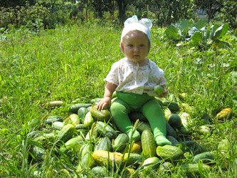 Similar image 2561301