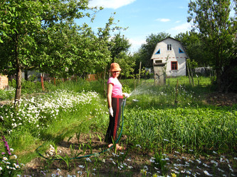 Similar image 2561374