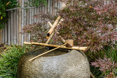 Similar image 2561577