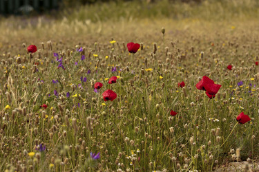 Similar image 2562125