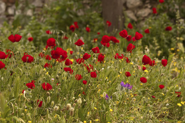 Similar image 2562127