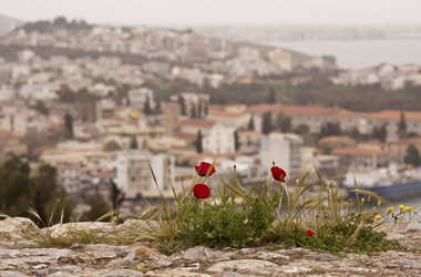 Similar image 2562128