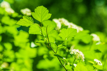 Similar image 2562583