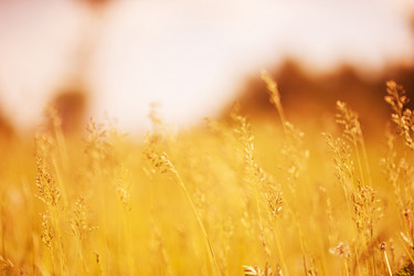 Similar image 2562584