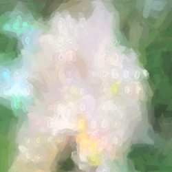 Similar image 2562746