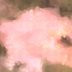 Similar image 2562783