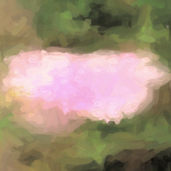 Similar image 2562806