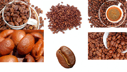 Similar image 2562840