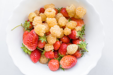 Similar image 2562846