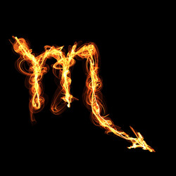 Similar image 2562946