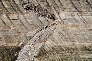 Similar image 2564080