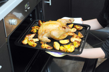 Similar image 2564571