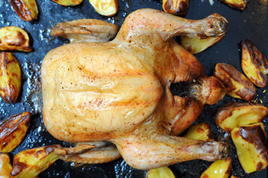 Similar image 2564572