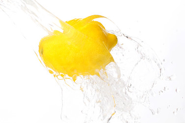 Similar image 2564575