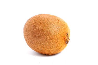 Similar image 2564596