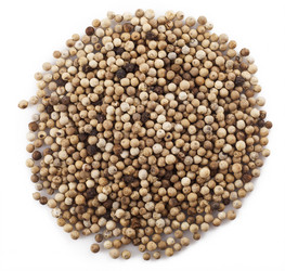 Similar image 2564629